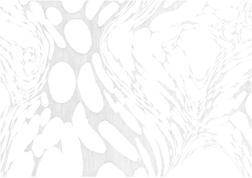 中西信洋 「Vanishment」