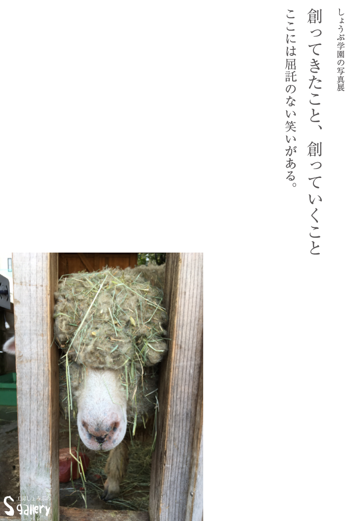 創ってきたこと、創っていくこと ここには屈託のない笑いがある。