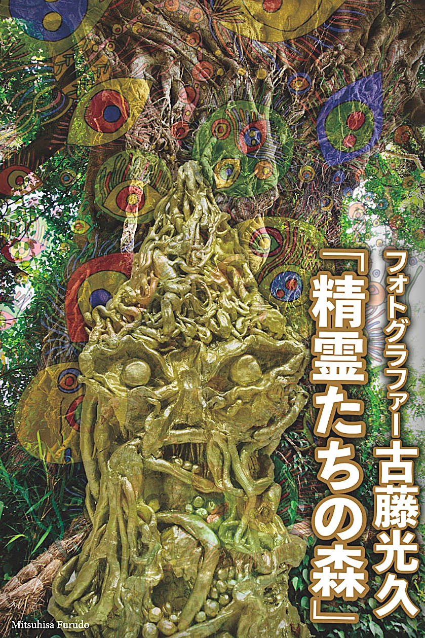 フォトグラファー古藤光久「精霊の森」