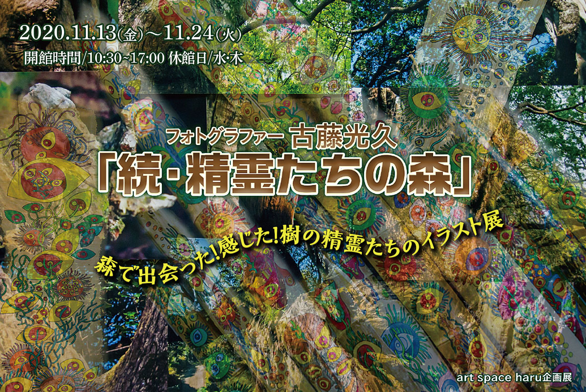 フォトグラファー古藤光久「続・精霊たちの森」
