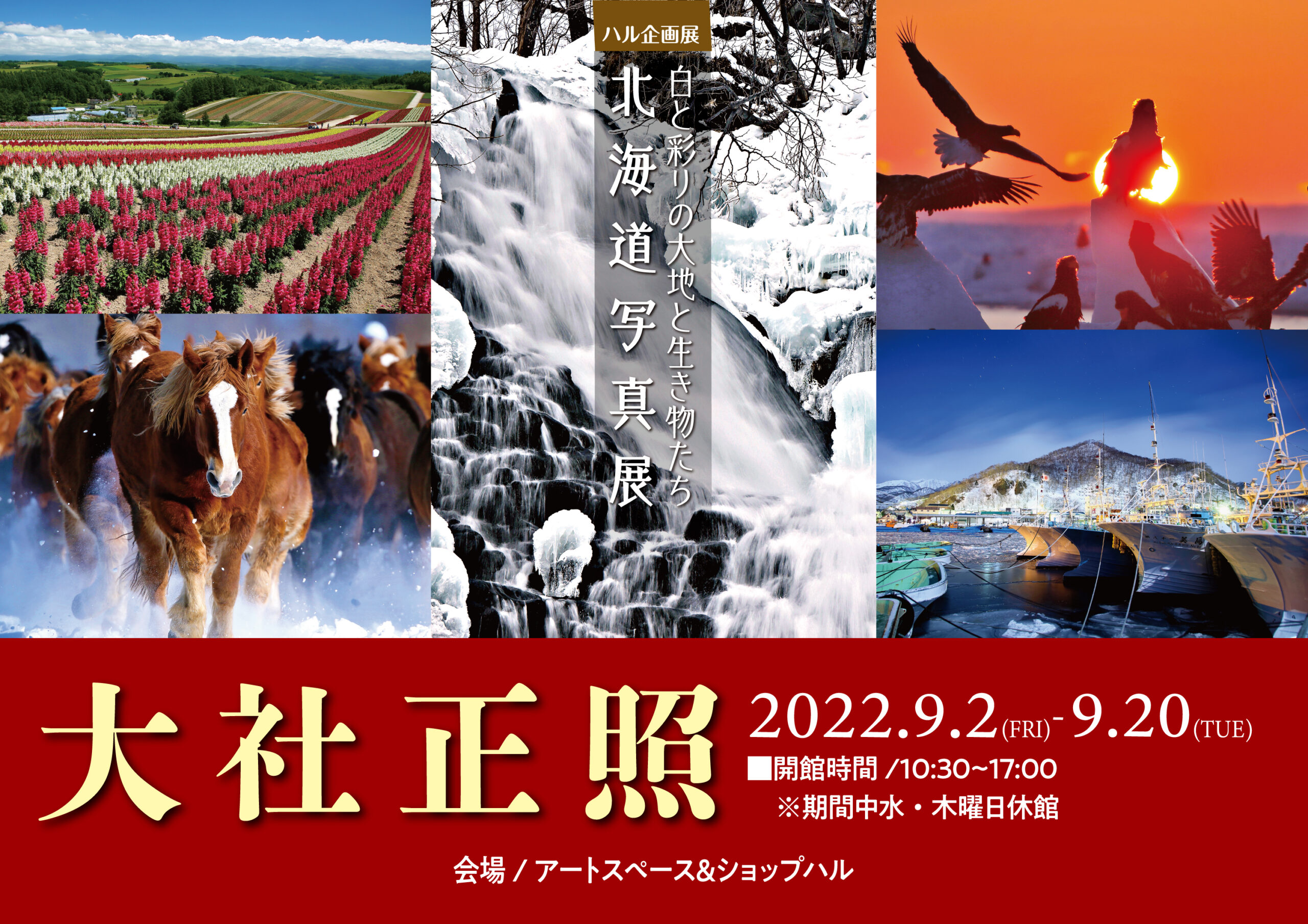 ハル企画展〜白と彩の大地と生き物たち〜大社正照 北海道写真展