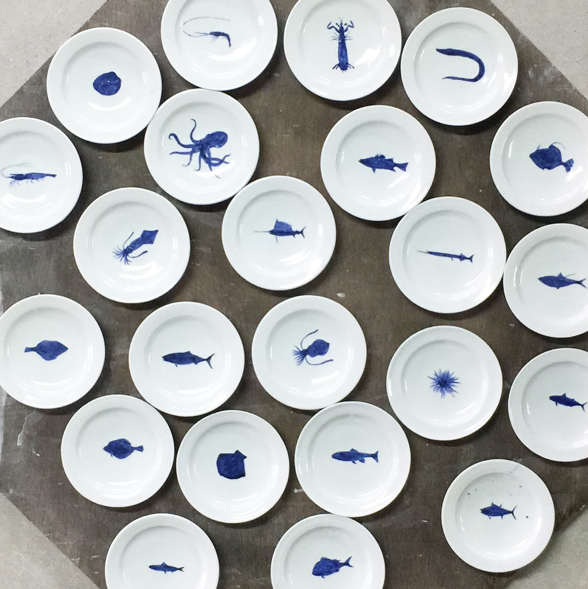 206241fecf347e814fbc0f27566afb