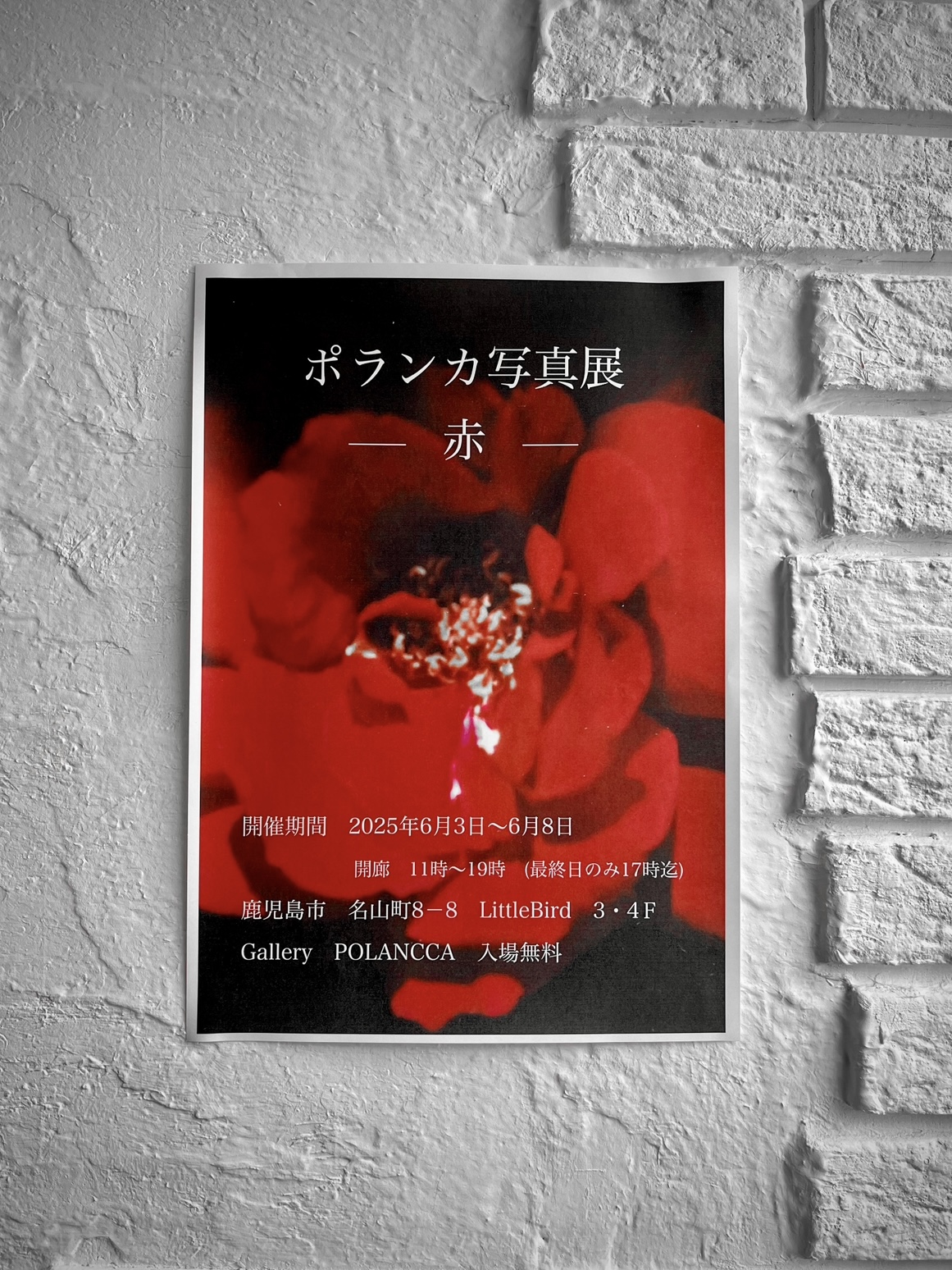 ポランカ写真展 ー 赤 ー