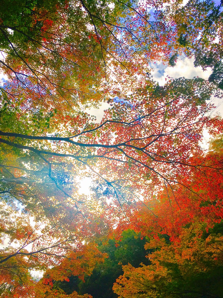 ランチタイムコンサート