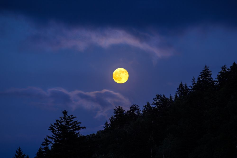 ランチタイムコンサート