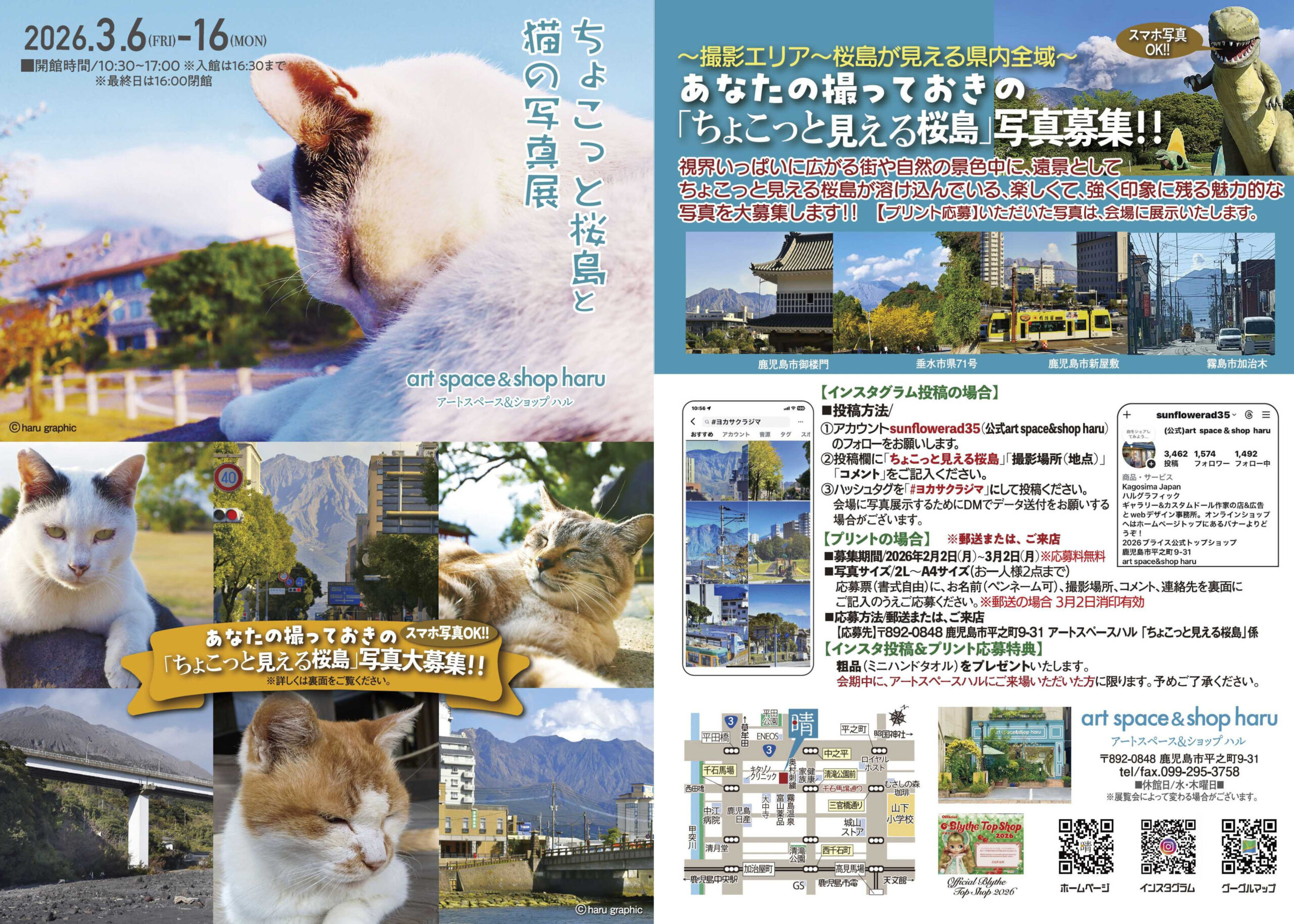 ハル企画展   「ちょこっと桜島と猫の写真展〜同時開催〜ちょこっと見える 桜島写真」募集！