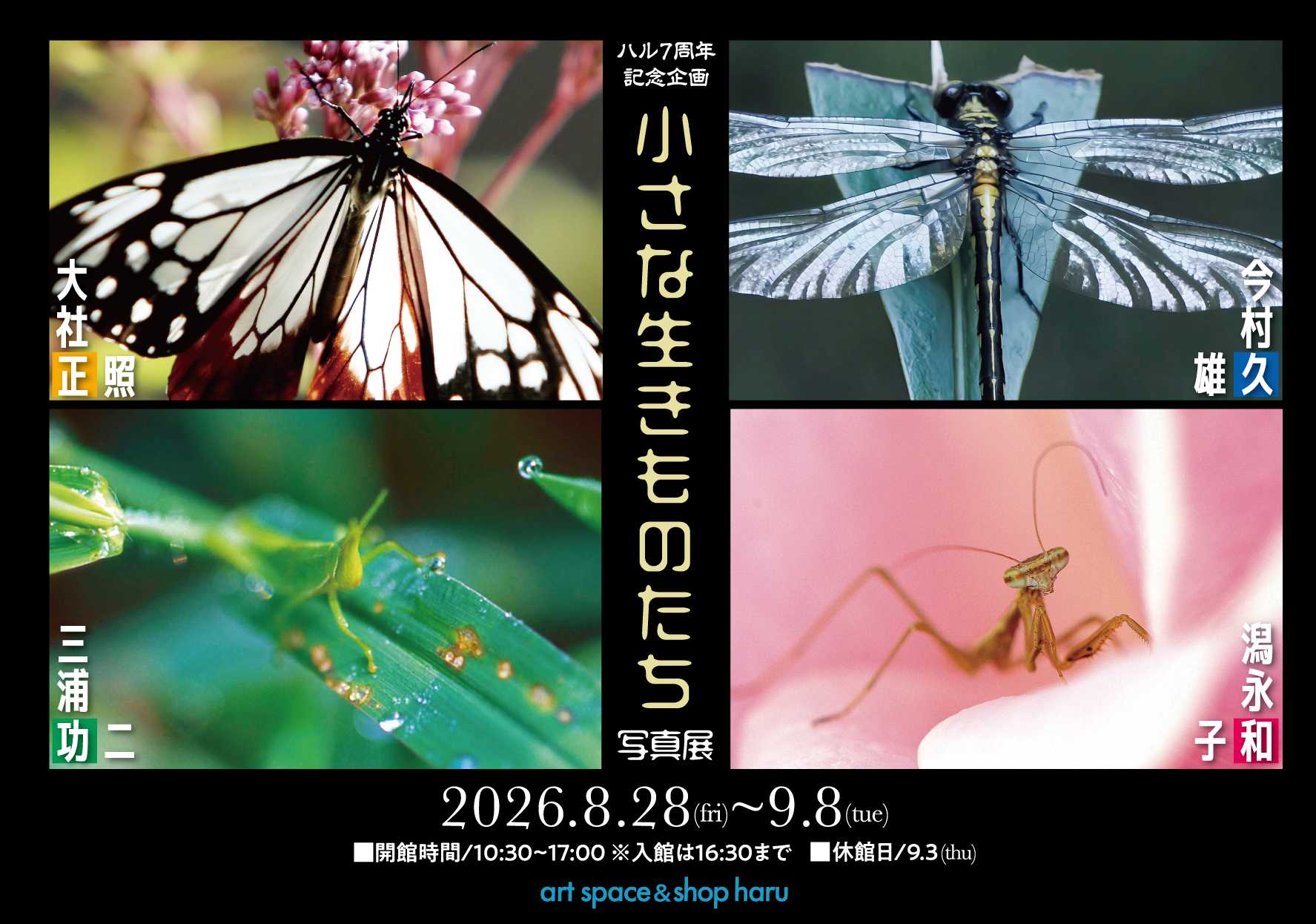 ハル７周年記念企画  小さな生きものたち 写真展　 今村久雄・大社正照・潟永和子・三浦功二
