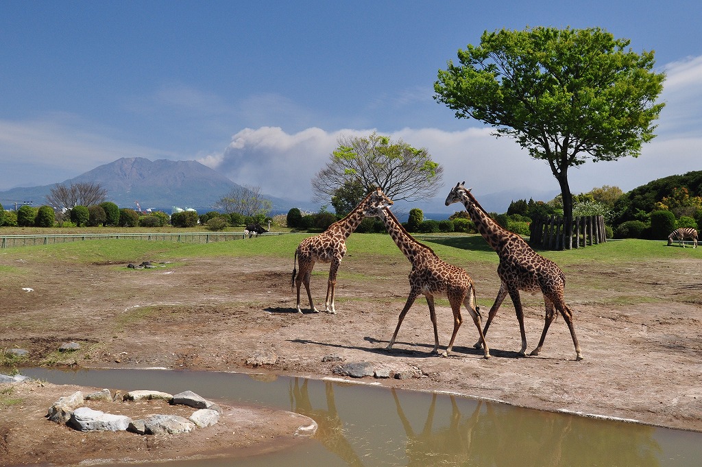 平川動物公園