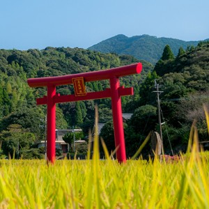 Festival of Hanao shrine