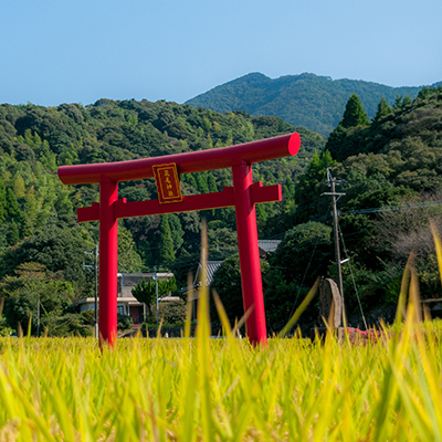 Festival of Hanao shrine